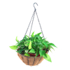 Zhaosheng Hardware - Cesta colgante de coco de forma redonda para jardín al aire libre de 10/12/14/16 pulgadas