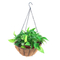 Zhaosheng Hardware - Cesta colgante de coco de forma redonda para jardín al aire libre de 10/12/14/16 pulgadas