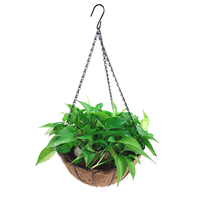 Zhaosheng Hardware - Cesta colgante decorativa de fibra de coco de 14.0 in para patio y jardín, macetero colgante con forro de fibra de coco negro