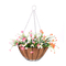 Zhaosheng Hardware - Cestas colgantes de flores de 14 pulgadas, colgador de macetas, decoración de jardín, maceteros colgantes de alambre con revestimiento de coco