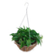 Zhaosheng Hardware - Cesta colgante para decoración de jardín con forro de coco, maceteros colgantes, cestas colgantes de coco de forma redonda