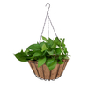 Zhaosheng Hardware - Cesta colgante para plantas al aire libre, color negro, con revestimiento redondo de fibra de coco, cesta colgante de coco
