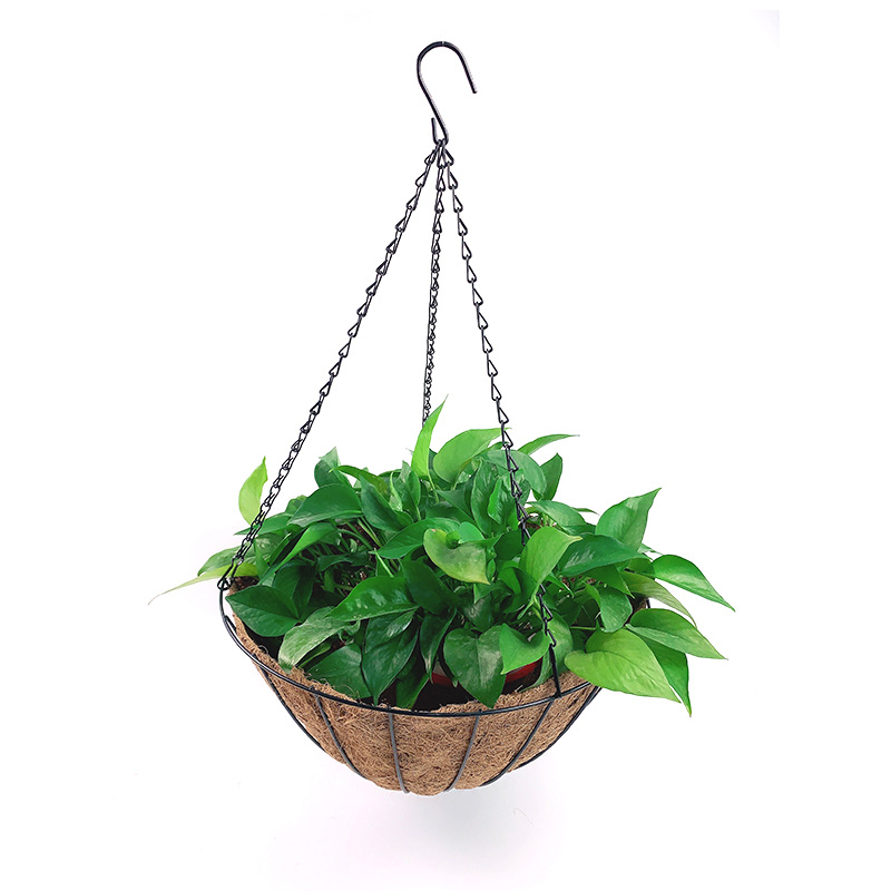 Zhaosheng Hardware - Cestas colgantes de fibra de coco montadas en la pared Jardineras colgantes de metal con revestimiento de fibra de coco